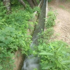 Meet your Posher, Gloria